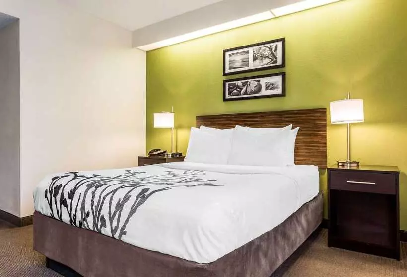 ホテル Sleep Inn Charleston West Ashley