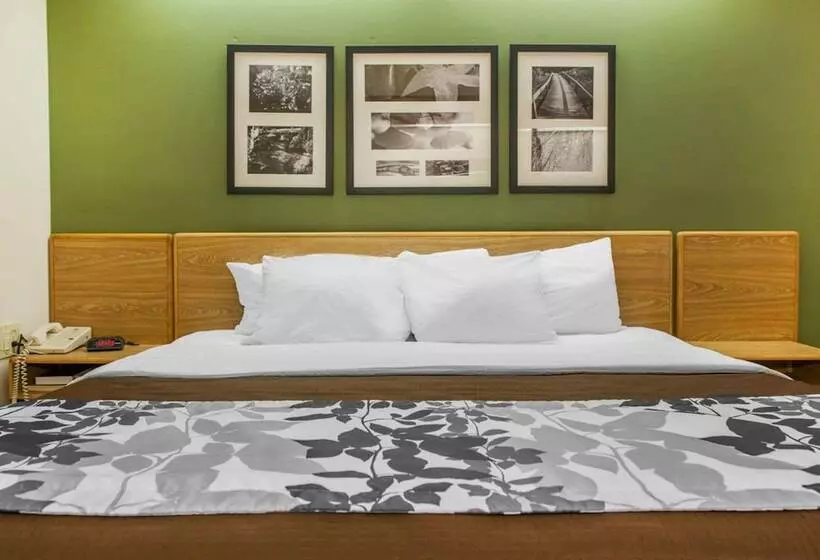 ホテル Sleep Inn