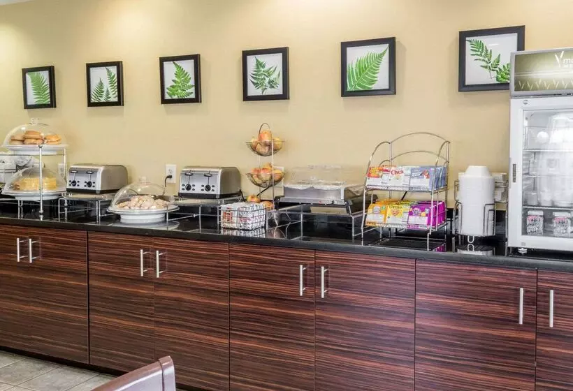 هتل Sleep Inn Lynchburg   University Area & Hwy 460