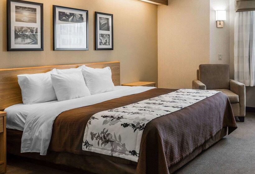 酒店 Sleep Inn Lynchburg   University Area & Hwy 460