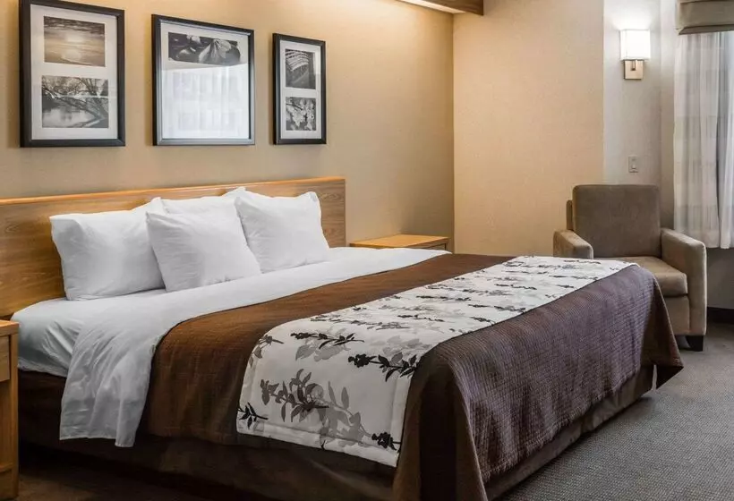 هتل Sleep Inn Lynchburg   University Area & Hwy 460