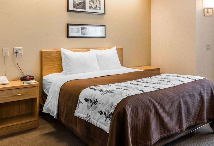 酒店 Sleep Inn Lynchburg   University Area & Hwy 460