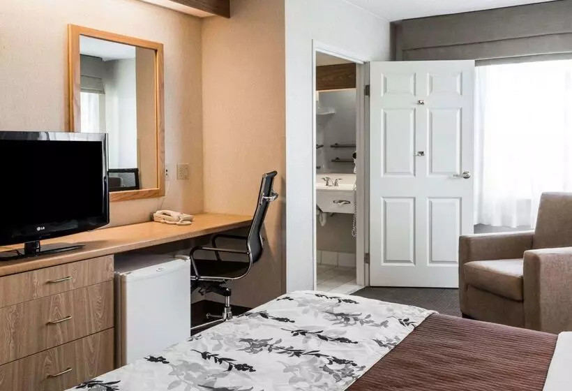 هتل Sleep Inn Lynchburg   University Area & Hwy 460