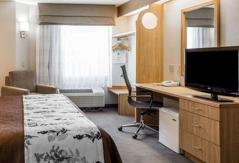 酒店 Sleep Inn Lynchburg   University Area & Hwy 460