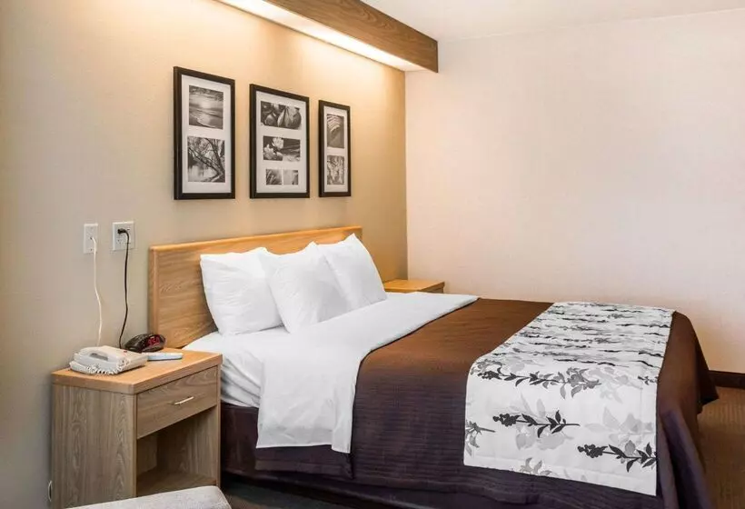 هتل Sleep Inn Lynchburg   University Area & Hwy 460