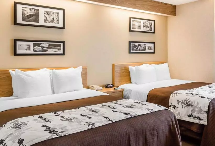 هتل Sleep Inn Lynchburg   University Area & Hwy 460