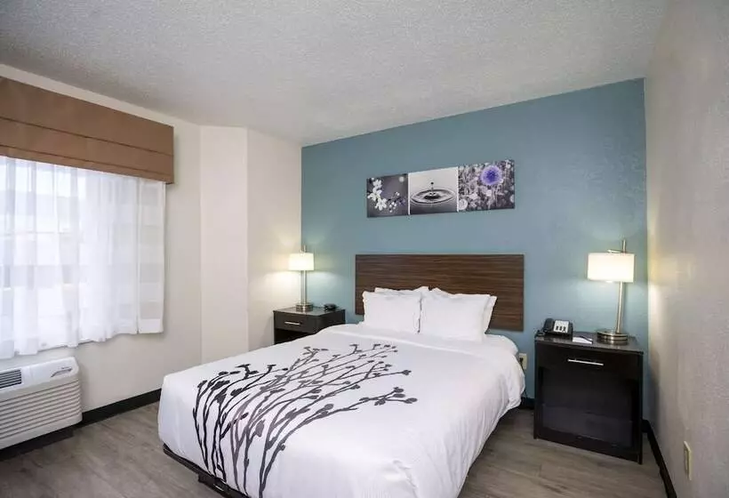 فندق Sleep Inn Near Outlets