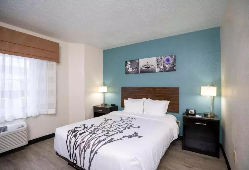 فندق Sleep Inn Near Outlets