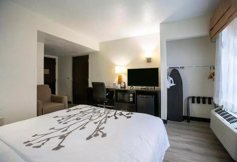 فندق Sleep Inn Near Outlets