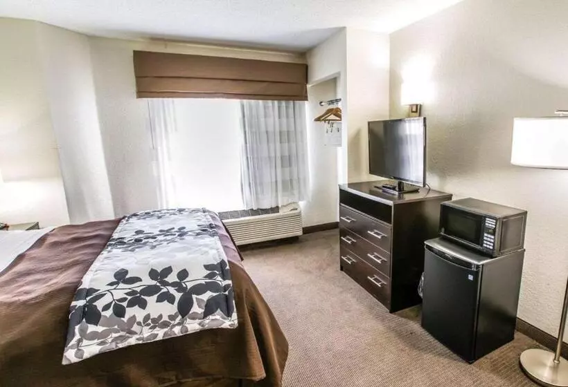 فندق Sleep Inn Near Outlets