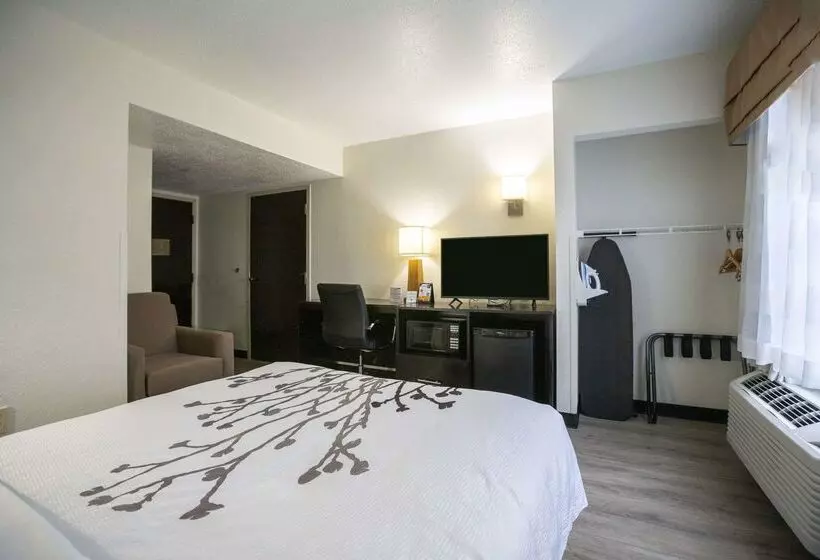 فندق Sleep Inn Near Outlets