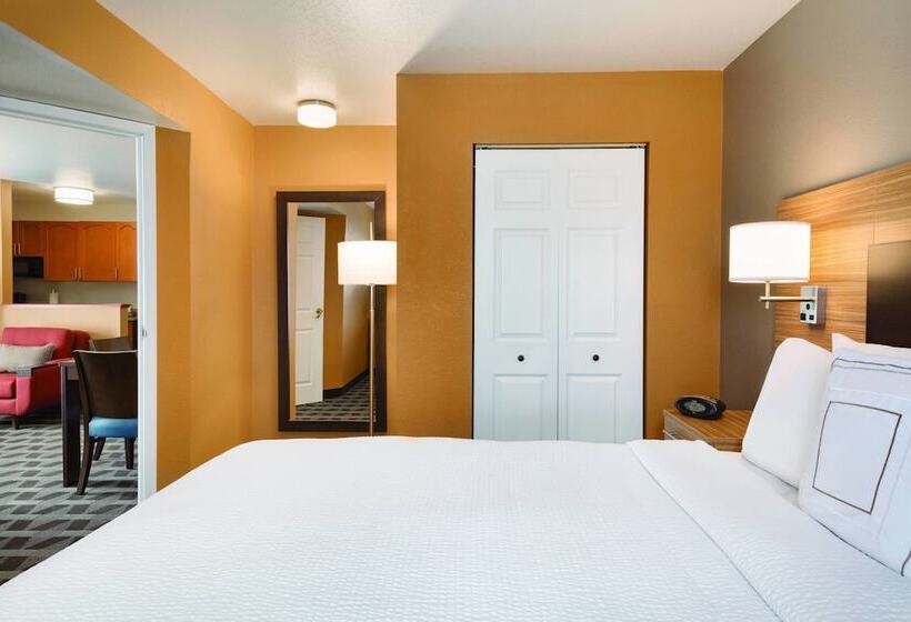 فندق Towneplace Suites By Marriott Denver Downtown