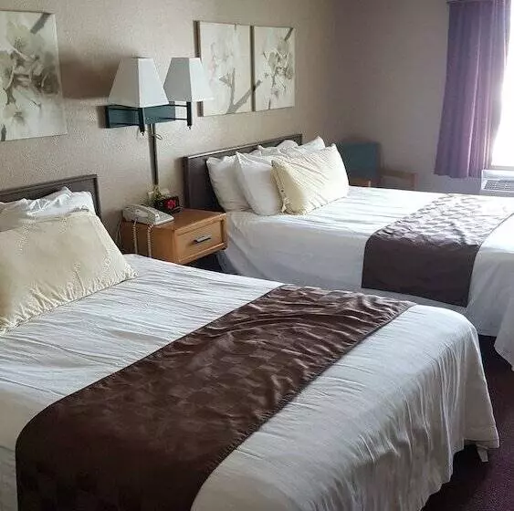 汽车旅馆  De Smet Super Deluxe Inn And Suites