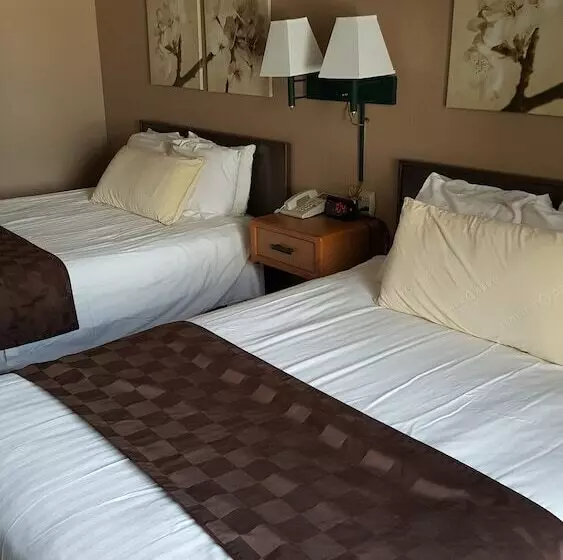 汽车旅馆  De Smet Super Deluxe Inn And Suites