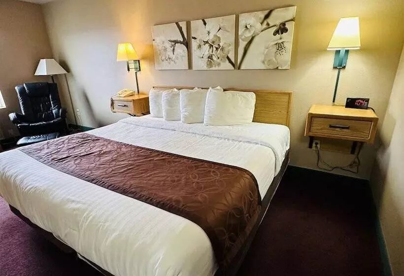 汽车旅馆  De Smet Super Deluxe Inn And Suites