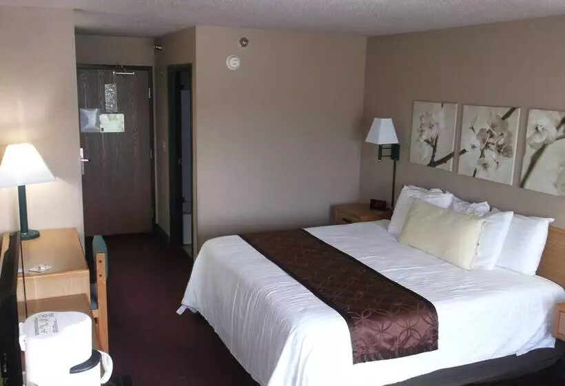 汽车旅馆  De Smet Super Deluxe Inn And Suites