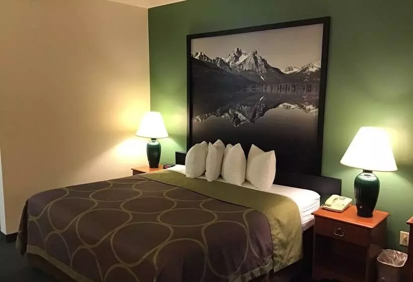 汽车旅馆 Super 8 By Wyndham Salmon