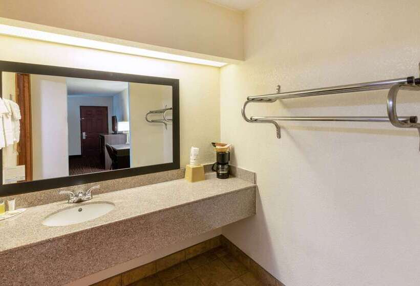 Motel Super 8 By Wyndham Seguin