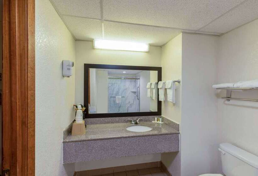 Motel Super 8 By Wyndham Seguin