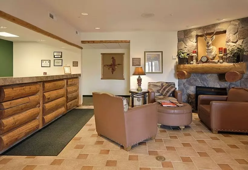 汽车旅馆 Super 8 By Wyndham Wheatland Wyoming