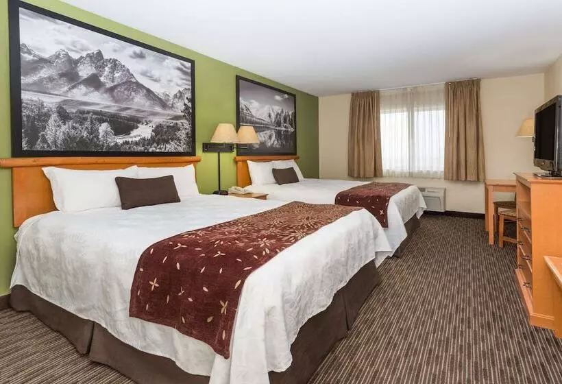 汽车旅馆 Super 8 By Wyndham Wheatland Wyoming