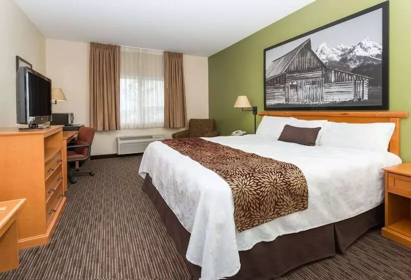 汽车旅馆 Super 8 By Wyndham Wheatland Wyoming