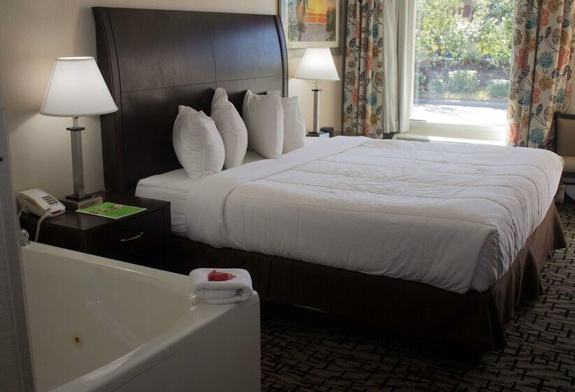 모텔 Surestay Hotel By Best Western North Myrtle Beach