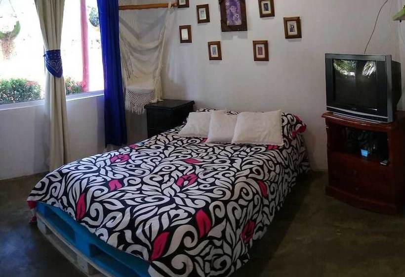 ユースホステル Hostal Villa Juliana