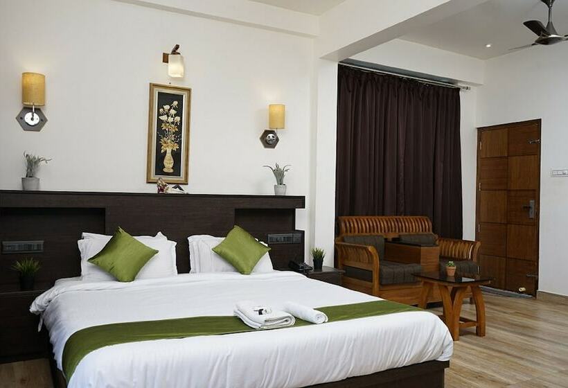 The Paddy Field Inn   Hostel