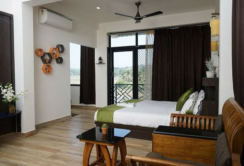 The Paddy Field Inn   Hostel