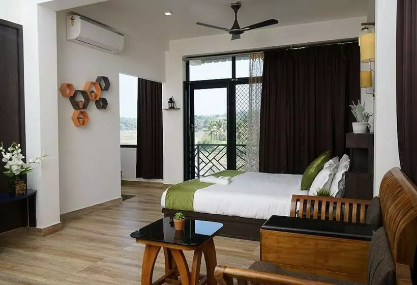 The Paddy Field Inn   Hostel