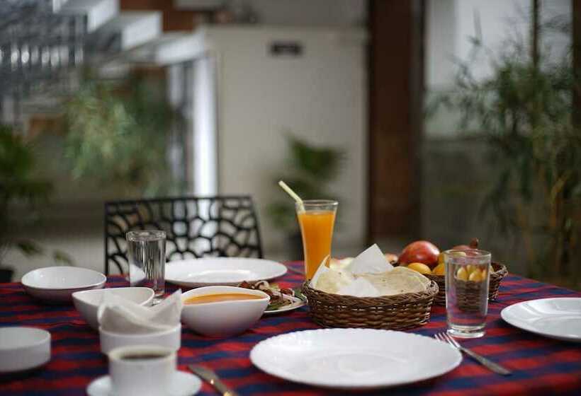 The Paddy Field Inn   Hostel