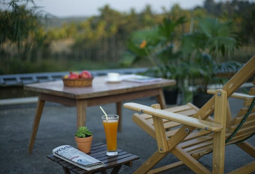 The Paddy Field Inn   Hostel