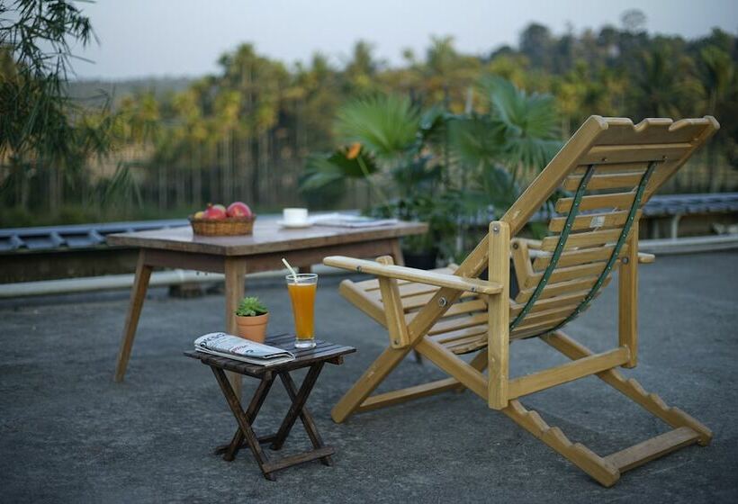 The Paddy Field Inn   Hostel