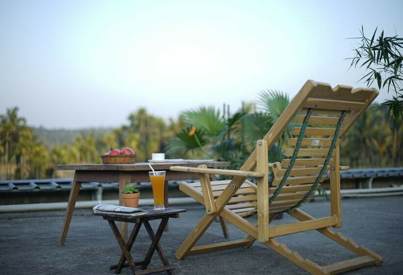 The Paddy Field Inn   Hostel