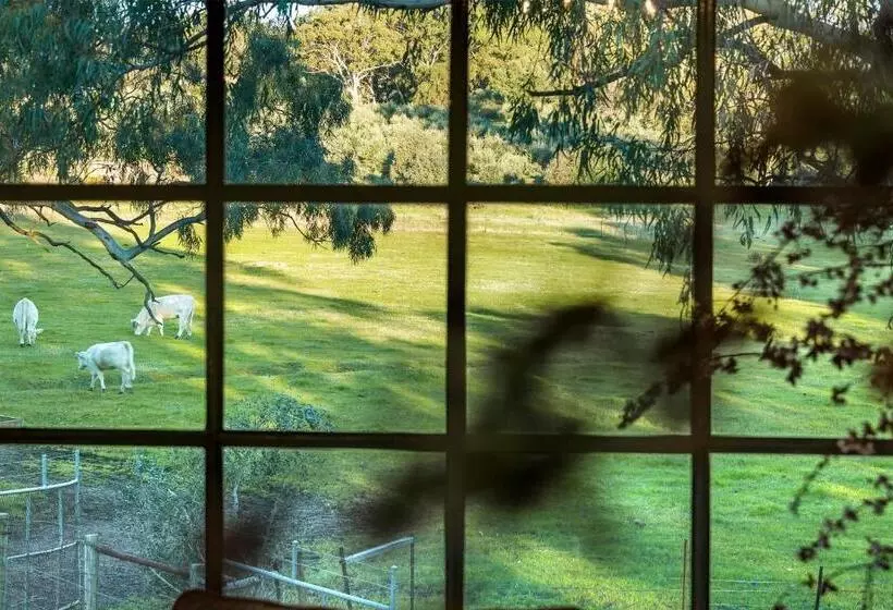 Aamiaismajoitus (B&B) Al Ru Farm