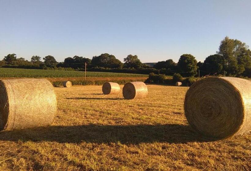 ベッドアンドブレックファースト Le Douitel