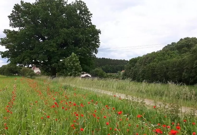 Aamiaismajoitus (B&B) Spieglhof Apart