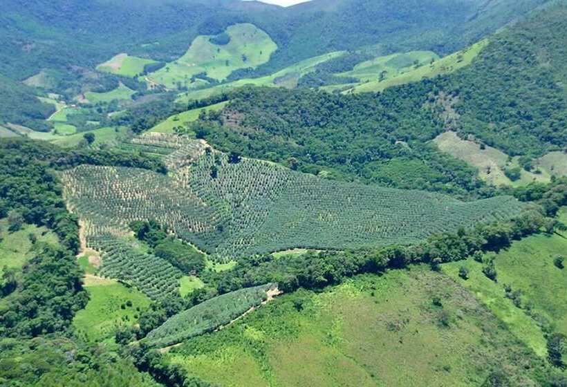 Отель Arte De Santo Antônio