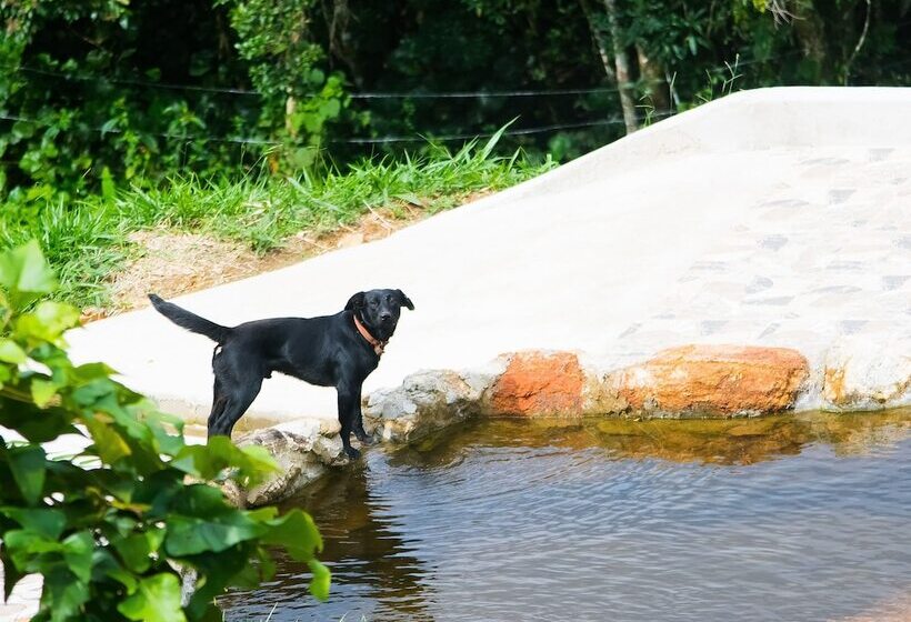 Отель Arte De Santo Antônio