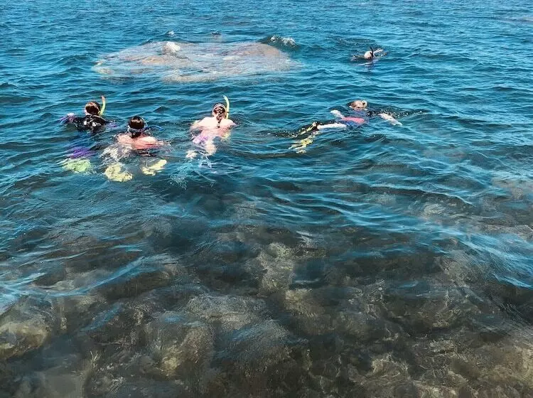 Hotelli Camp Island Lodge