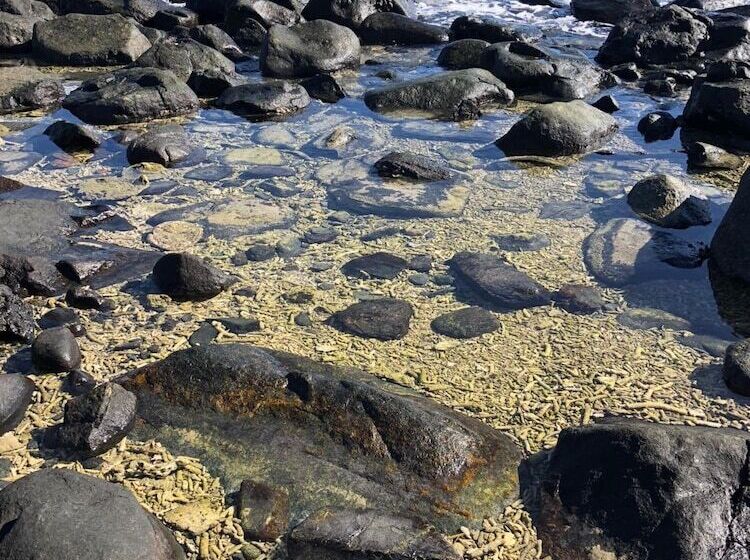 ホテル Camp Island Lodge