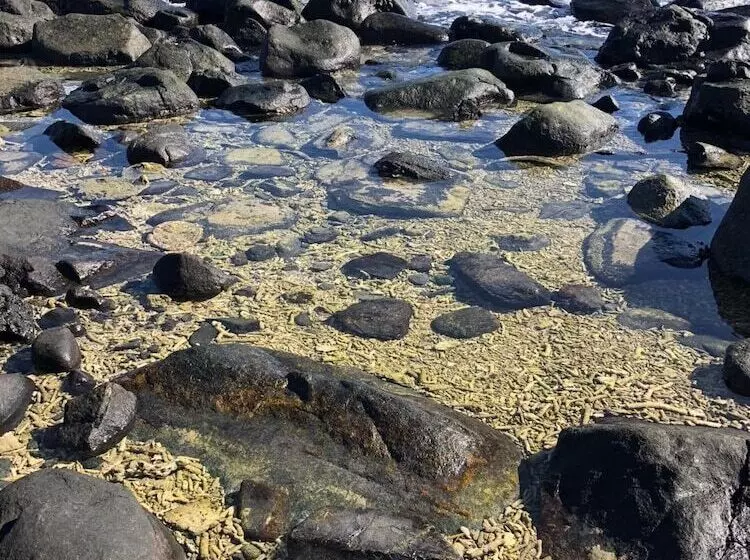 Hotelli Camp Island Lodge