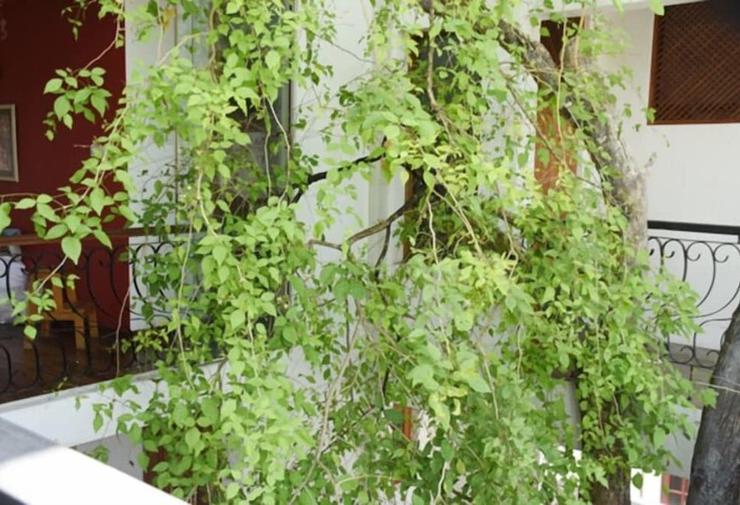 فندق Colombo Tree House