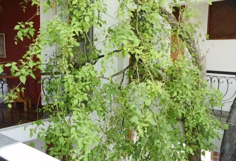 هتل Colombo Tree House