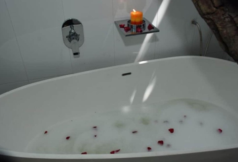 فندق Colombo Tree House