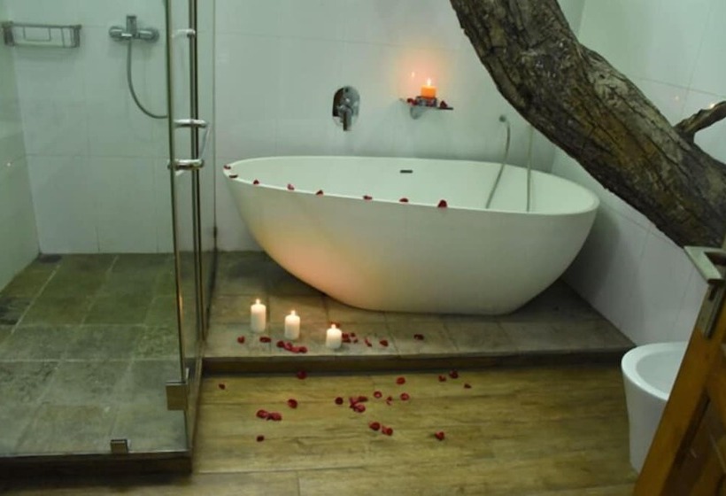 فندق Colombo Tree House