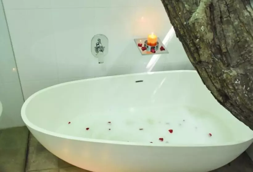 هتل Colombo Tree House