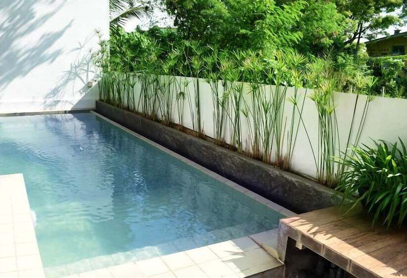 فندق Colombo Tree House