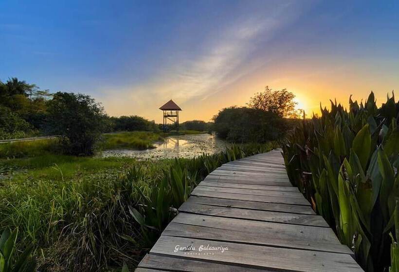 فندق Colombo Tree House